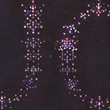JOY, Stephen Kaltenbach